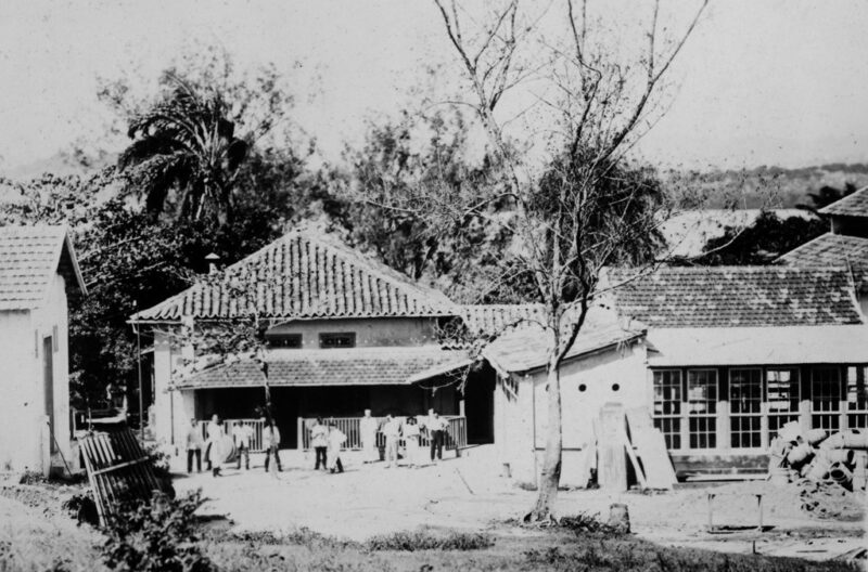 Instituto Soroterápico Federal